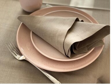 Napkin LOFT linen color stain resistant