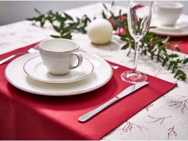 Rich red colored napkin 2