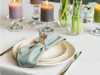 Moss colored napkin 1