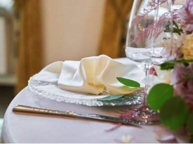 Napkin champagne SATEN, seamless, stain resistant 3