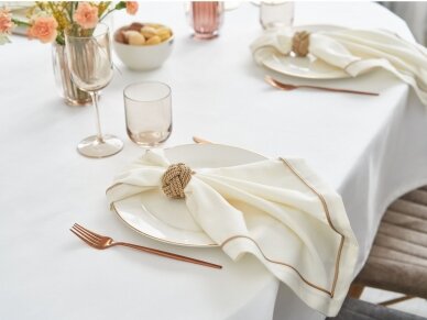 Napkin champagne FOLGORE TOUN 2