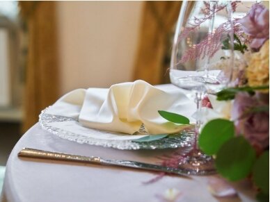 Napkin champagne SATEN seamless 1