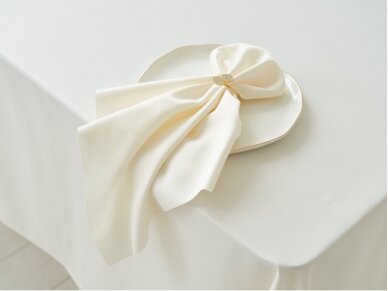 Napkin champagne SATEN seamless